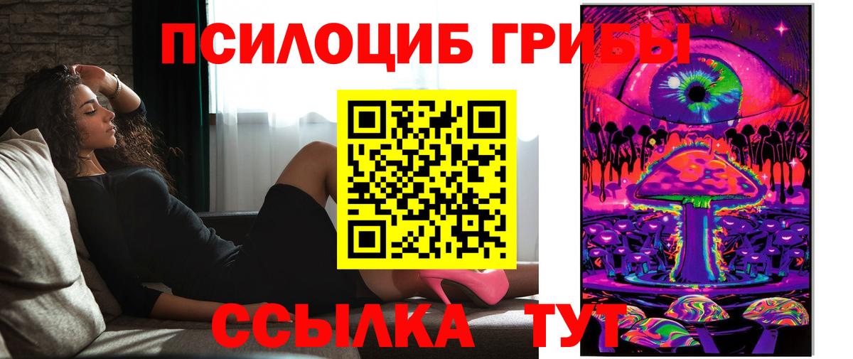Георгиевск  Псилоцибиновые грибы MAGIC MUSHROOMS  Вход с VPN 