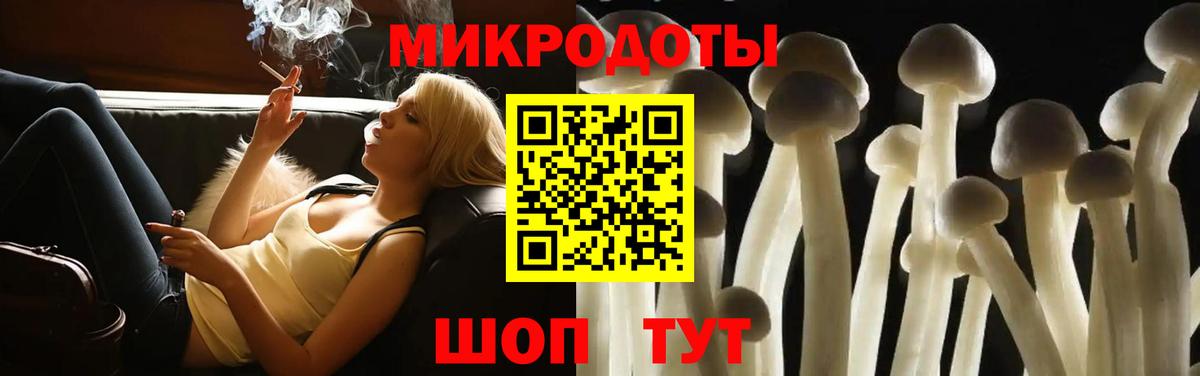 Галлюциногенные грибы Psilocybine cubensis Георгиевск